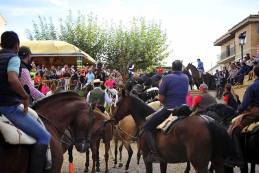 Fotos de la feria del caballo de Marcilla