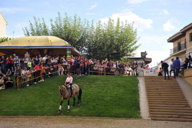 Fotos de la feria del caballo de Marcilla