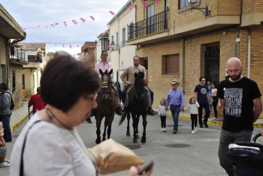Fotos de la feria del caballo de Marcilla
