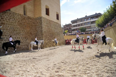 Fotos de la feria del caballo de Marcilla