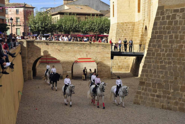 Fotos de la feria del caballo de Marcilla