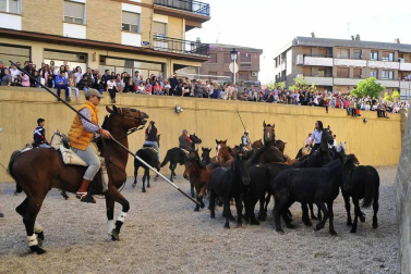 Fotos de la feria del caballo de Marcilla