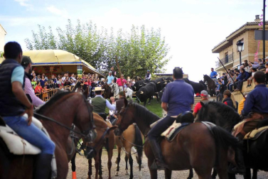 Fotos de la feria del caballo de Marcilla