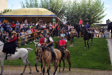 Fotos de la feria del caballo de Marcilla