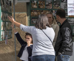 Fotos de la celebración del Día del pastor en Eulate