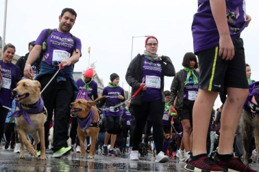 Más de 4.000 personas acuden a la carrera solidaria Perrotón para luchar contra el abandono de animales