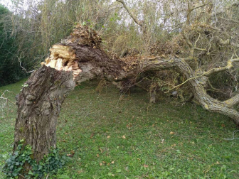 Imágenes de la llegada de los restos del ciclón Leslie a Navarra