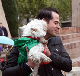 Más de 4.000 personas acuden a la carrera solidaria Perrotón para luchar contra el abandono de animales