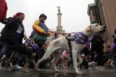 Más de 4.000 personas acuden a la carrera solidaria Perrotón para luchar contra el abandono de animales