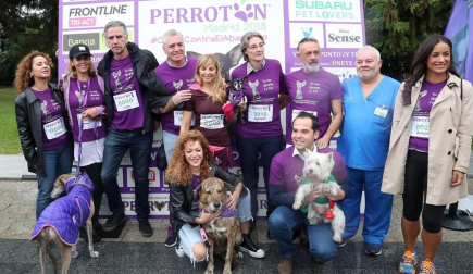 Más de 4.000 personas acuden a la carrera solidaria Perrotón para luchar contra el abandono de animales
