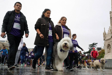 Más de 4.000 personas acuden a la carrera solidaria Perrotón para luchar contra el abandono de animales