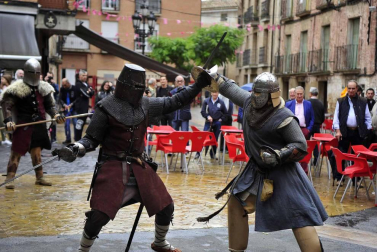 Fotos de la feria medieval y del caballo en Marcilla, con combates recreativos medievales y otras actividades.