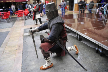 Fotos de la feria medieval y del caballo en Marcilla, con combates recreativos medievales y otras actividades.