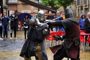 Fotos de la feria medieval y del caballo en Marcilla, con combates recreativos medievales y otras actividades.
