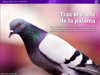 Además, sin acuerdo entre vecinos y jóvenes sobre las bajeras