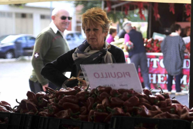 Entre septiembre y noviembre, la campa de la Fundación Mena de Puente la Reina se transforma en territorio rojo donde el pimiento, en sus en múltiples variedades, se erige en protagonista. Los productores locales no ocultan su satisfacción ante una campaña que, ya adelantan, se presenta “muy buena”