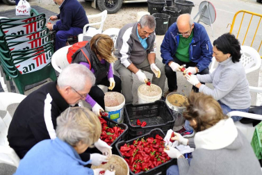 Entre septiembre y noviembre, la campa de la Fundación Mena de Puente la Reina se transforma en territorio rojo donde el pimiento, en sus en múltiples variedades, se erige en protagonista. Los productores locales no ocultan su satisfacción ante una campaña que, ya adelantan, se presenta “muy buena”