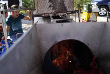 Entre septiembre y noviembre, la campa de la Fundación Mena de Puente la Reina se transforma en territorio rojo donde el pimiento, en sus en múltiples variedades, se erige en protagonista. Los productores locales no ocultan su satisfacción ante una campaña que, ya adelantan, se presenta “muy buena”