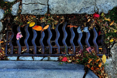 Fotos de un paseo guiado por el olfato, en un día de otoño por Pamplona.