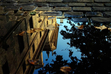 Fotos de un paseo guiado por el olfato, en un día de otoño por Pamplona.