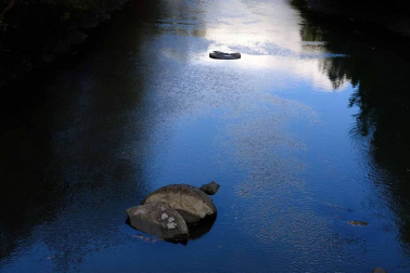 Fotos de un paseo guiado por el olfato, en un día de otoño por Pamplona.