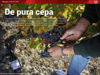 Además, más de la mitad de padres que denuncia a sus hijos en Navarra renuncia al proceso judicial.