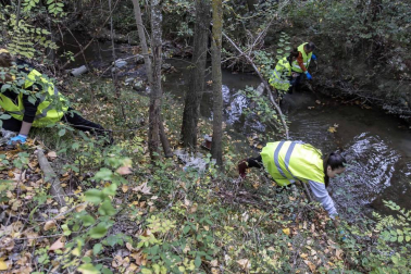 Más de 120 voluntarios y voluntarias se han congregado este sábado para participar en la limpieza del río Sadar
