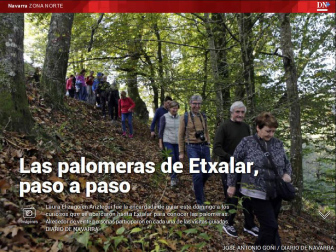 Además, Alsasua acoge un masivo Nafarroa Oinez.