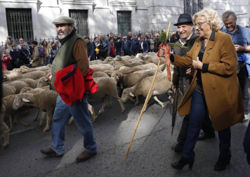 Las calles de la capital se vieron invadidas por las ovejas merinas con motivo de la Fiesta de la Trashumancia a la que acudió la alcaldesa, Manuela Carmena.