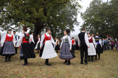 Decenas de miles de personas participan este domingo en Alsasua en el Nafarroa Oinez 2018, la fiesta de las ikastolas de Navarra, que este año tiene el objetivo de recaudar fondos en apoyo al centro Iñigo Aritza.