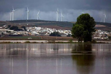 Fotos de las fuertes lluvias que han causado numerosas incidencias durante este domingo en Málaga.