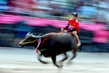 Las imágenes más llamativas de las últimas horas