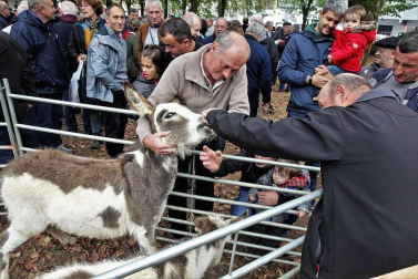 Decenas de caballos, vacas y ovejas, en la Feria de Elizondo