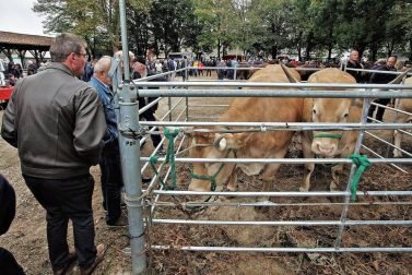 Decenas de caballos, vacas y ovejas, en la Feria de Elizondo