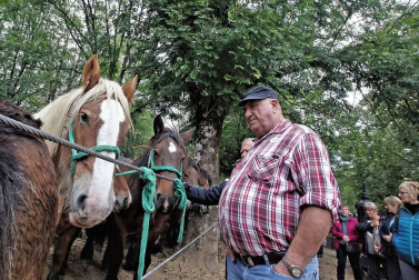 Decenas de caballos, vacas y ovejas, en la Feria de Elizondo