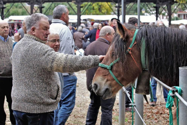 Decenas de caballos, vacas y ovejas, en la Feria de Elizondo