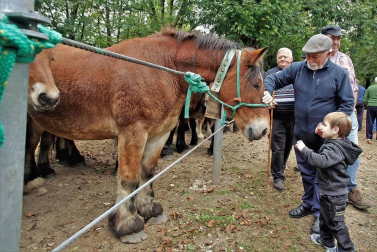 Decenas de caballos, vacas y ovejas, en la Feria de Elizondo