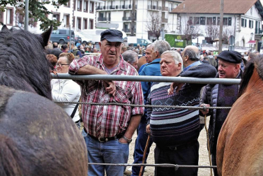 Decenas de caballos, vacas y ovejas, en la Feria de Elizondo