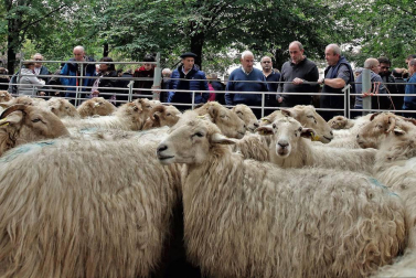 Decenas de caballos, vacas y ovejas, en la Feria de Elizondo