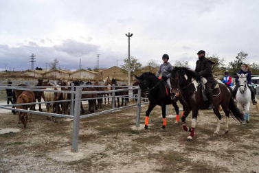 Imágenes de las ferias de artesanía y layas en Tafalla