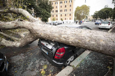 Al menos nueve personas han fallecido en el temporal que mantiene varias regiones italianas en Alerta por los fuertes vientos, las inundaciones y el derribo de árboles.