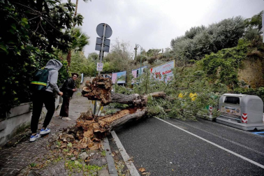 Al menos nueve personas han fallecido en el temporal que mantiene varias regiones italianas en Alerta por los fuertes vientos, las inundaciones y el derribo de árboles.