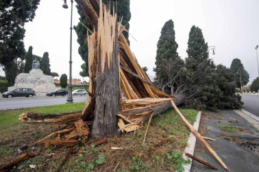 Al menos nueve personas han fallecido en el temporal que mantiene varias regiones italianas en Alerta por los fuertes vientos, las inundaciones y el derribo de árboles.
