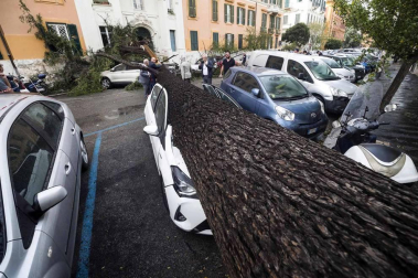 Al menos nueve personas han fallecido en el temporal que mantiene varias regiones italianas en Alerta por los fuertes vientos, las inundaciones y el derribo de árboles.