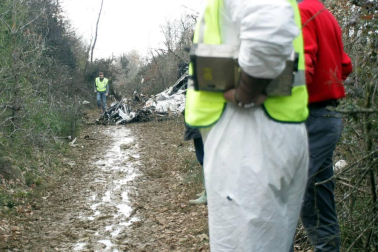 Cinco de las víctimas murieron como consecuencia de choques con buitres