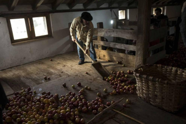 Arizkun revive la elaboración de la sidra a la vieja usanza con el método Kirikoketa, triturando la manzana a ritmo de mazas sincronizadas. Se machacaron un total de 1.500 kilos de manzanas en el lagar Gamioxarrea del siglo XVIII ahora restaurado