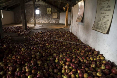 Arizkun revive la elaboración de la sidra a la vieja usanza con el método Kirikoketa, triturando la manzana a ritmo de mazas sincronizadas. Se machacaron un total de 1.500 kilos de manzanas en el lagar Gamioxarrea del siglo XVIII ahora restaurado