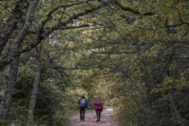 Inauguración de la microrreserva de mariposas 'el Inauguración de la microrreserva de mariposas 'El león dormido', en Lapoblacióndormido', en Lapoblación