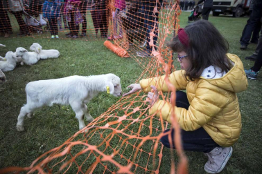 Urroz celebra su feria de artesanía y ganado.