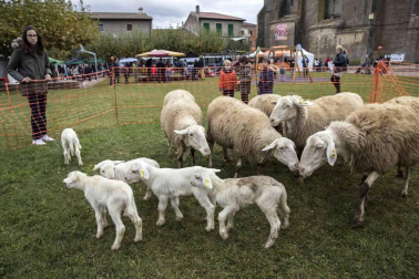 Urroz celebra su feria de artesanía y ganado.